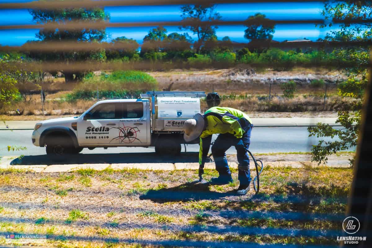 Business Photography by Lensnation Pest management Perth 
