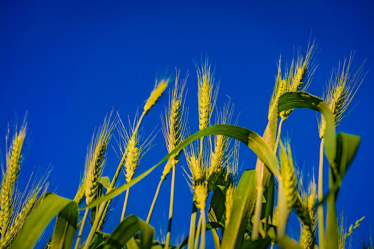 Commercial photography lensnation Crommelin Agricoatings Perth 