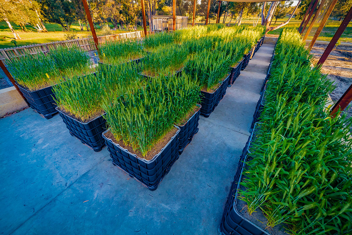 Commercial photography lensnation Crommelin Agricoatings Perth 