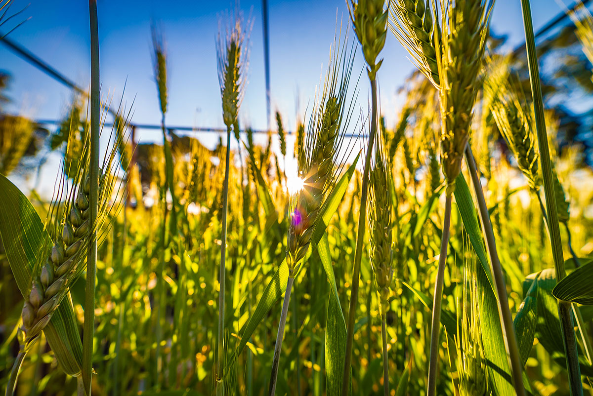 Commercial photography lensnation Crommelin Agricoatings Perth 