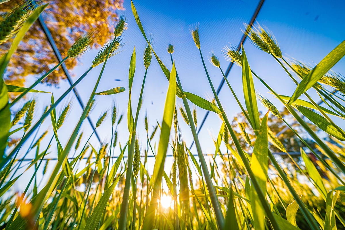 Commercial photography Crommelin Agricoatings Perth 