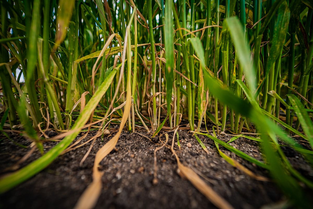 Lensnation Commercial photography for Crommelin Agricoatings Perth 