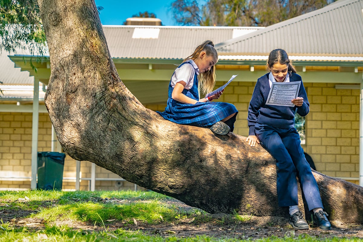Students studying Grace School Perth Lensnation