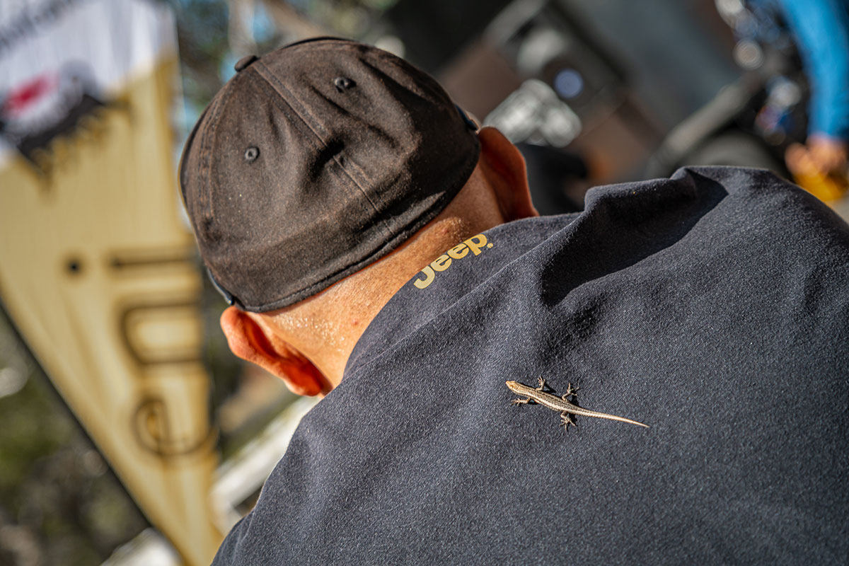 A man and a Gecko