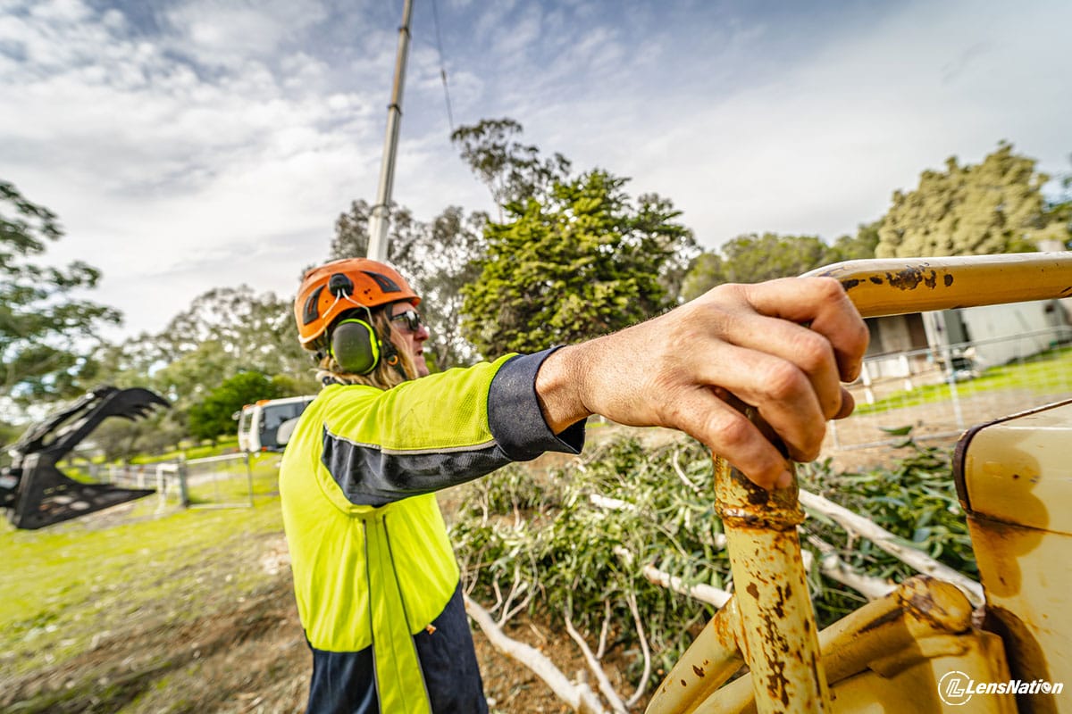 MPS Tree Services Logging Services photos