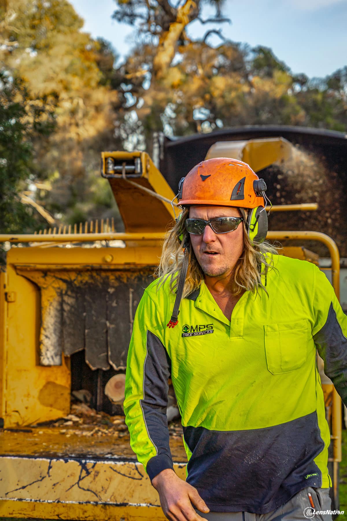 MPS Tree Services logging commercial photos