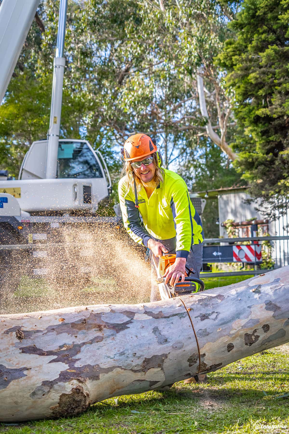 Tree Logging Tradesman using stihl chainsaw Photography