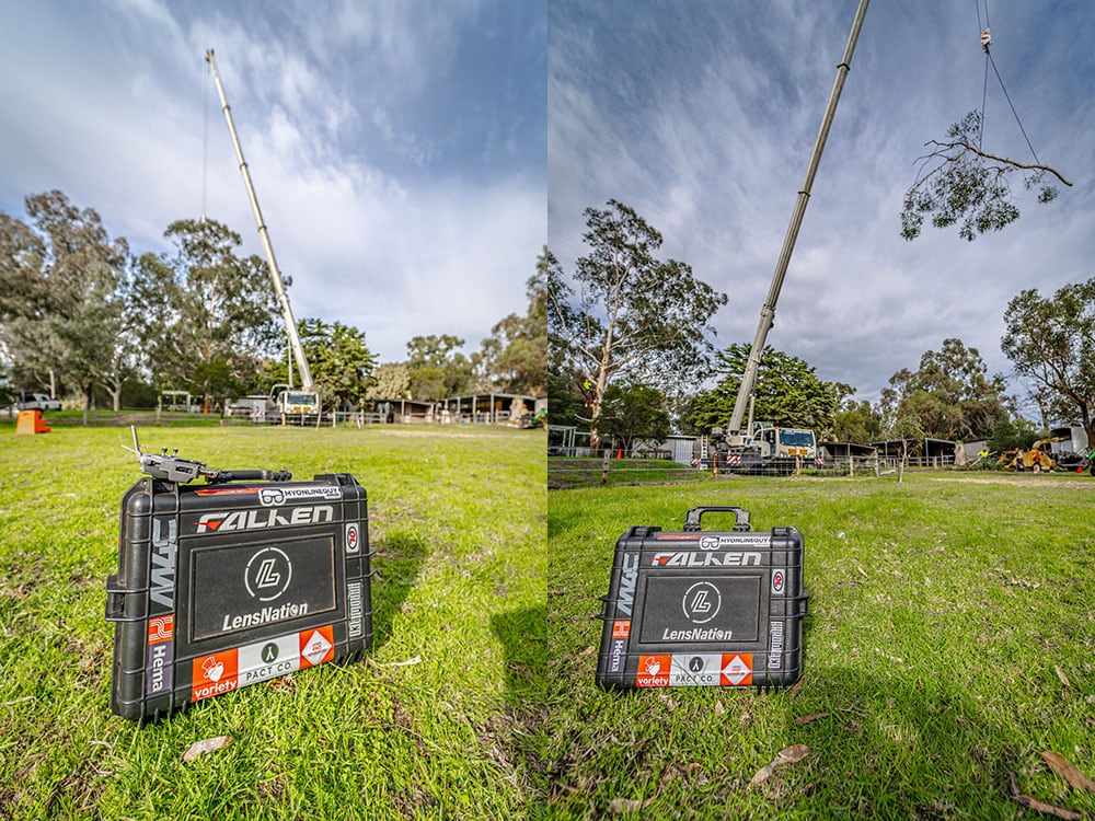 Tree Services Lensnation Perth Photography Studio Commercial Business