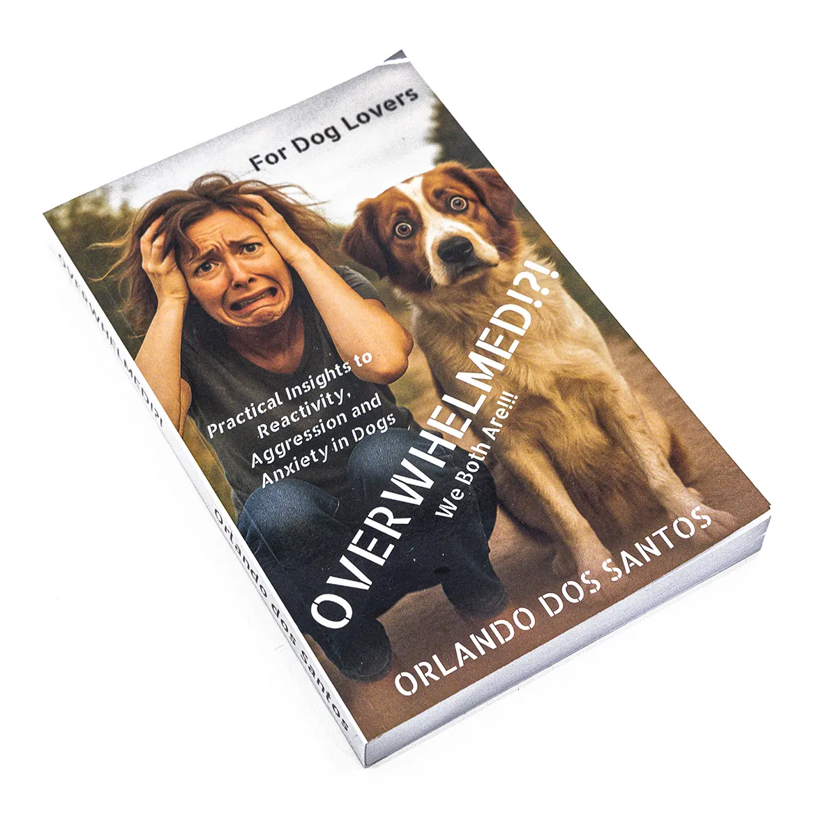 Dog Story Book Collection Product Photography