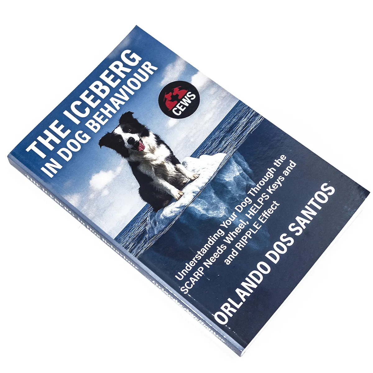 Collection of dog story books arranged for ecommerce and branding photography