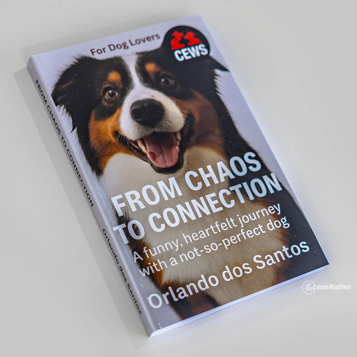 Dog Story Books Lifestyle Photography for Branding