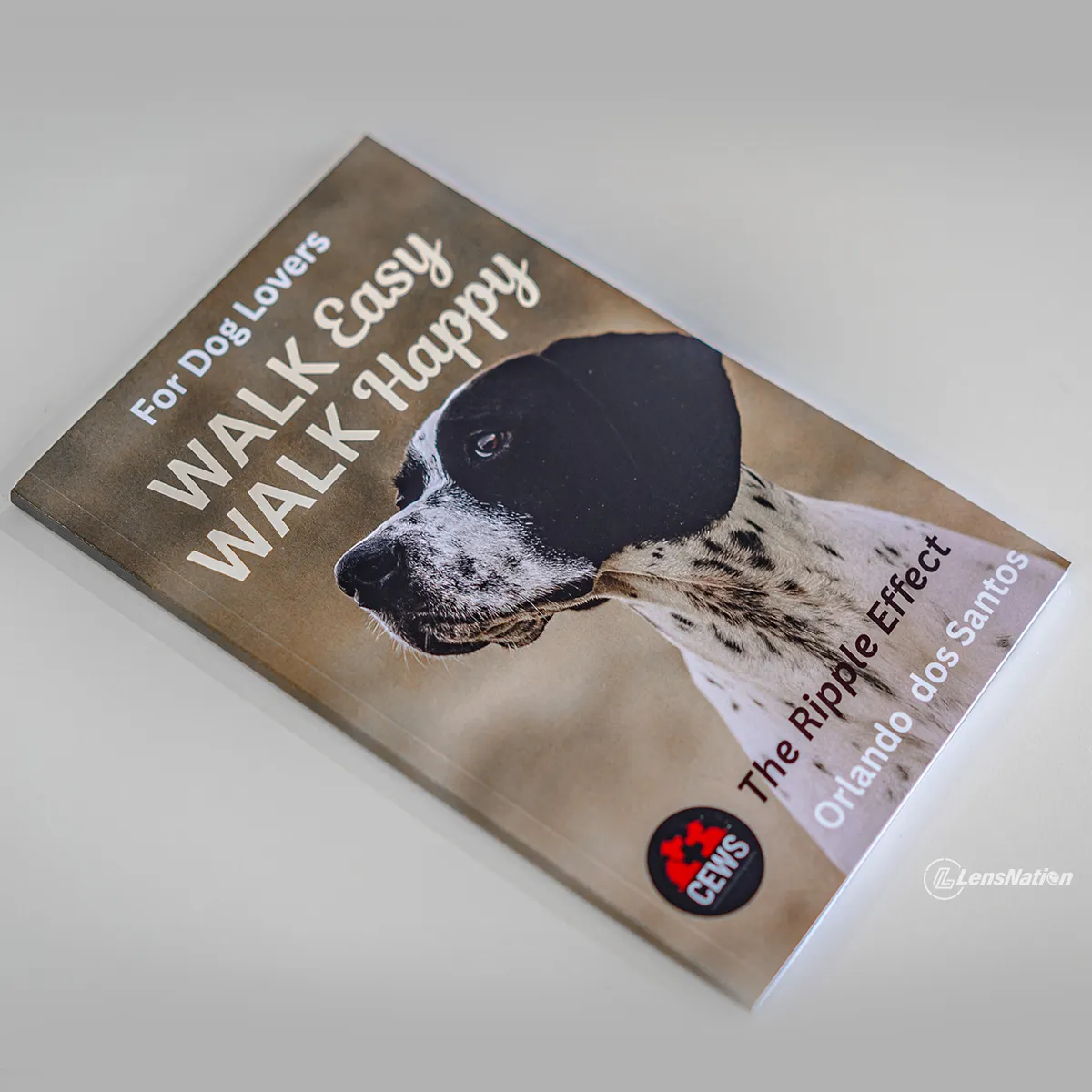 Dog story books styled in a cozy reading setup for lifestyle product photography