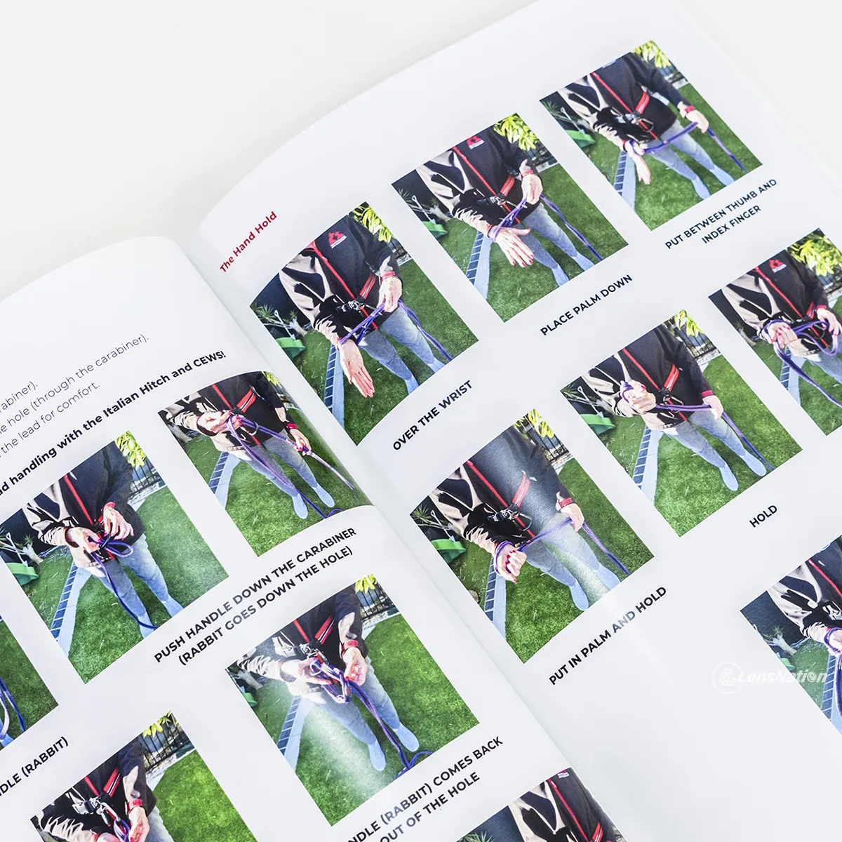 Dog Story Book Natural Light Product Photography