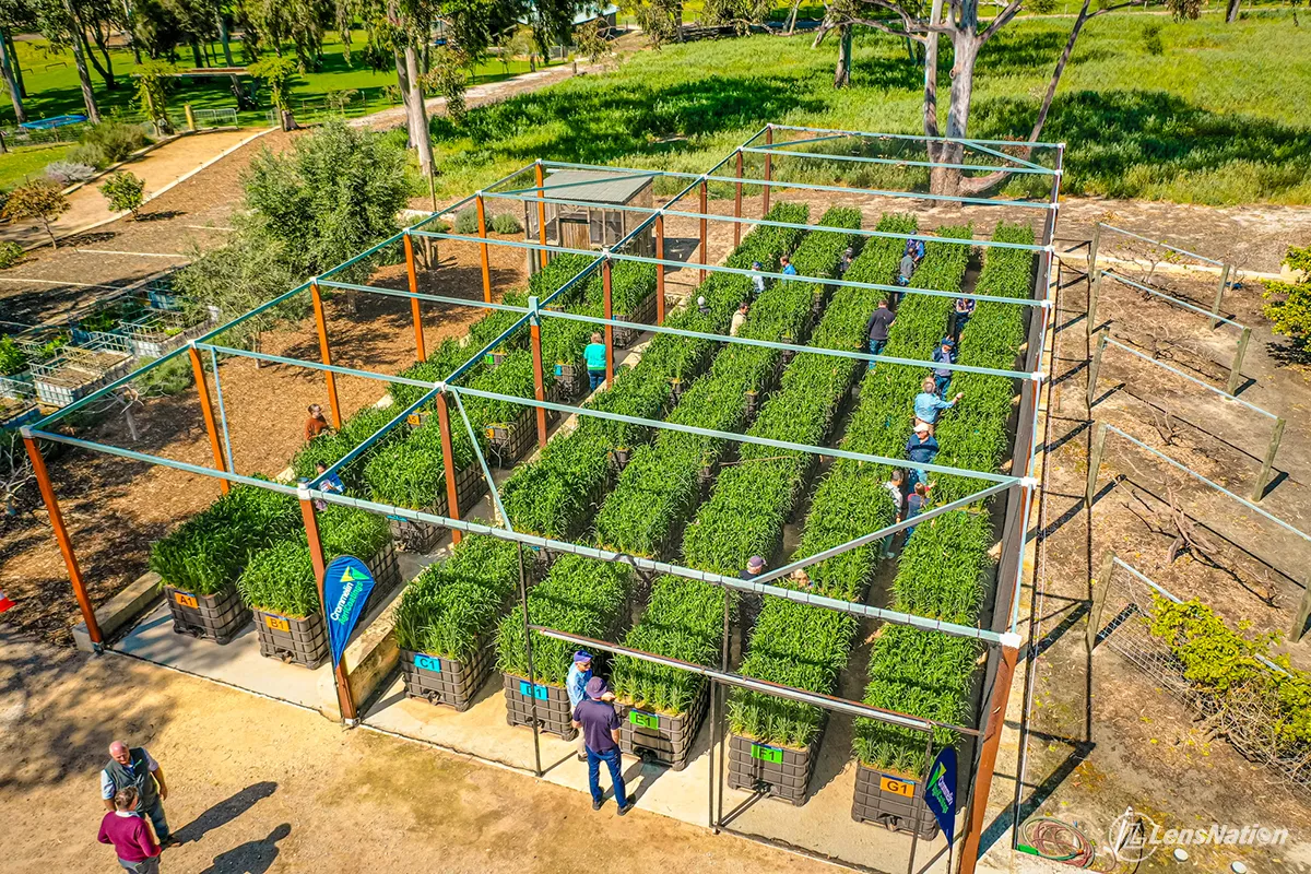 Drone photo of the Crommelin Agricoatings crop pods