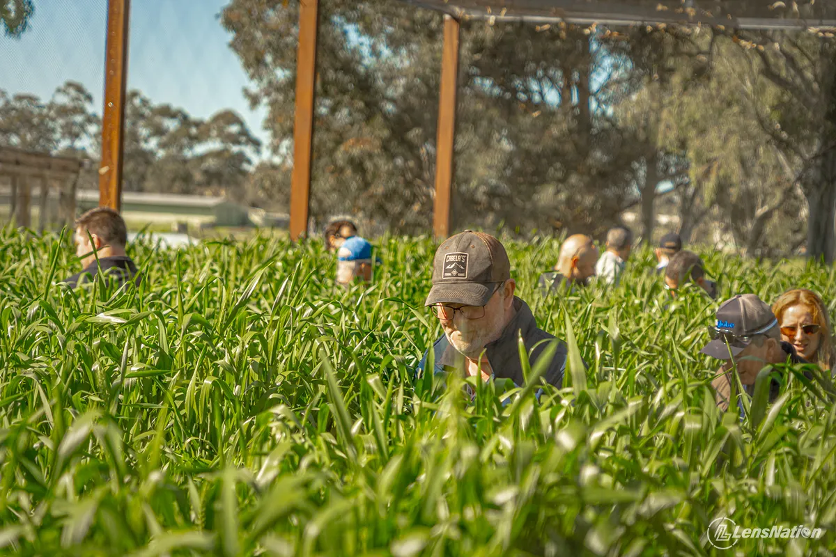 fertilizer australia delegates networking perth